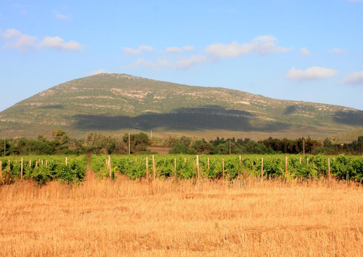 Agriturismo Da Pina Porto Conte Exteriér fotografie